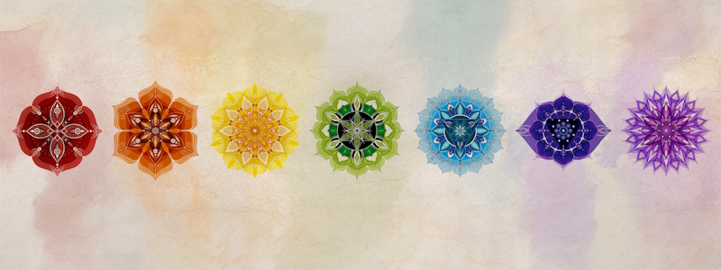 Les 4 phases énergétiques